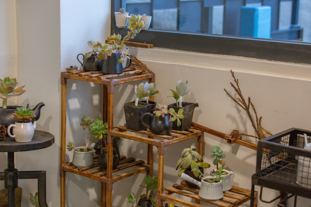 台中/和平。梨山「筑淨茶苑」 | 預約品茗～在高山裡，把時間留給一壺茶，回到最單純的事