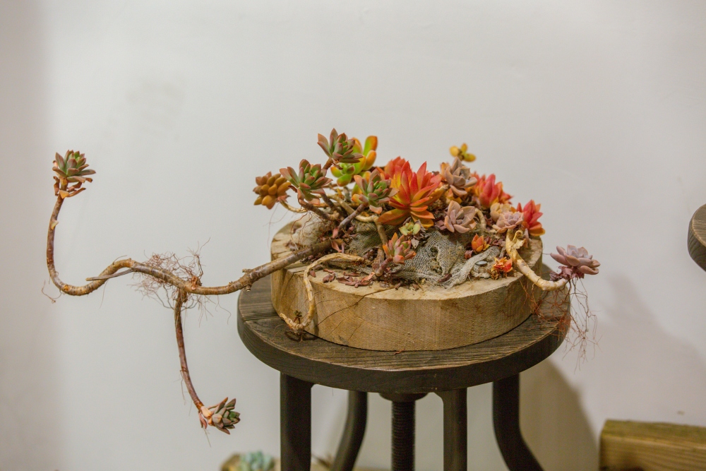 台中/和平。梨山「筑淨茶苑」 | 預約品茗～在高山裡，把時間留給一壺茶，回到最單純的事