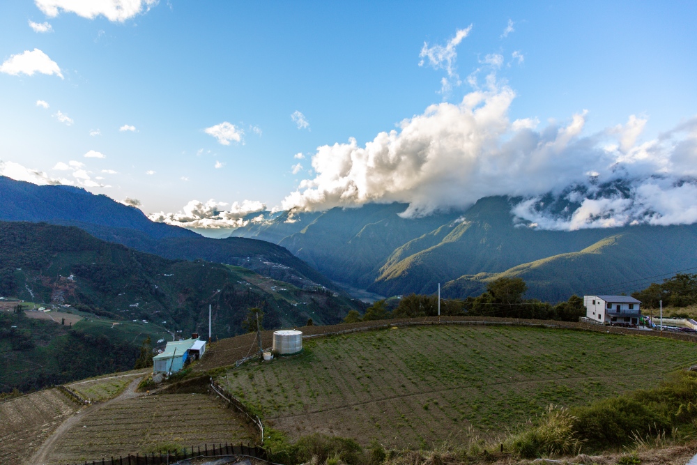 台中/和平。梨山「筑淨茶苑」 | 預約品茗～在高山裡，把時間留給一壺茶，回到最單純的事