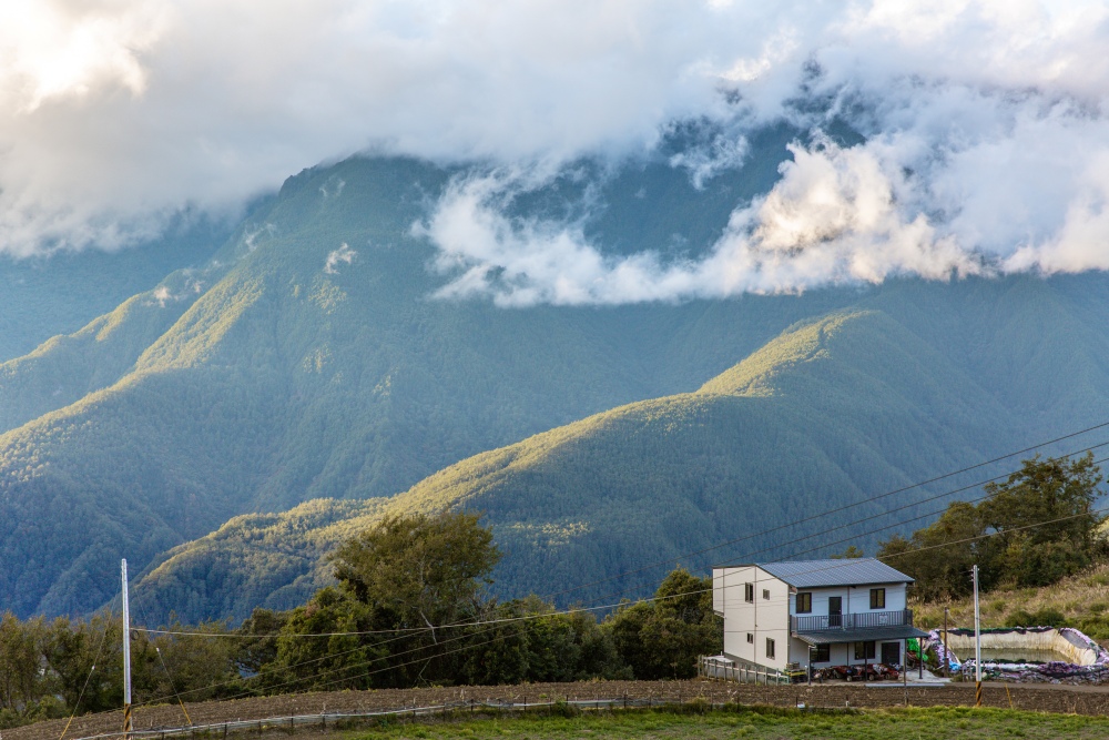 台中/和平。梨山「筑淨茶苑」 | 預約品茗～在高山裡，把時間留給一壺茶，回到最單純的事