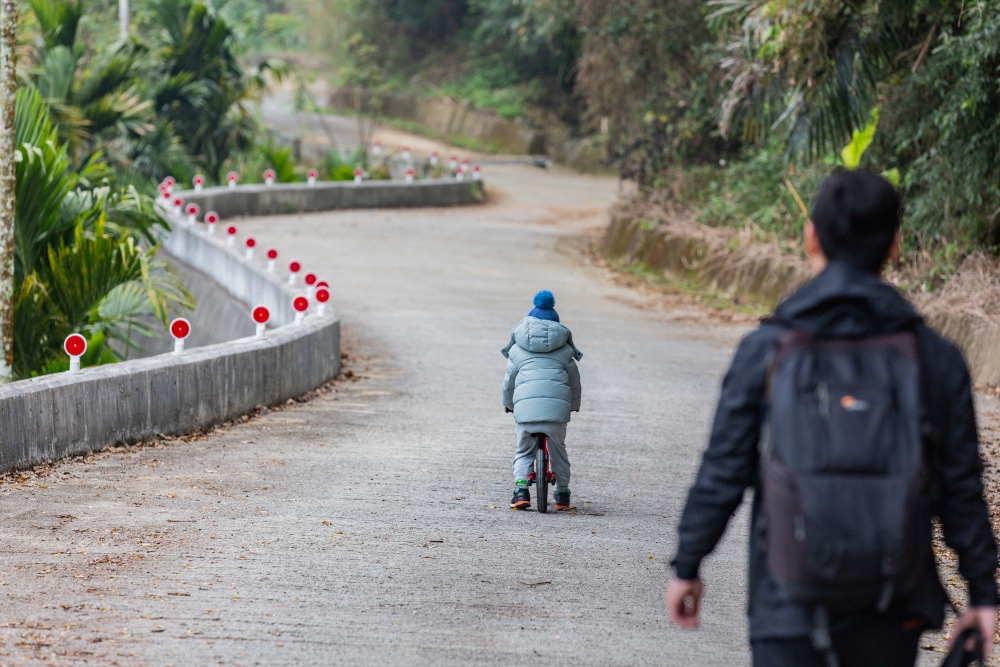 南投/信義・九份二山「七號梅莊」 | 油菜花海 × 梅樹，雙層花海與山路風景，提供自助式熱酸梅汁的山裡人情味