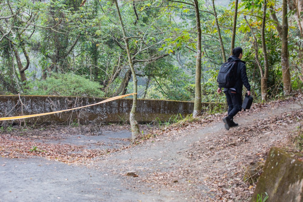 南投/信義・九份二山「七號梅莊」 | 油菜花海 × 梅樹，雙層花海與山路風景，提供自助式熱酸梅汁的山裡人情味