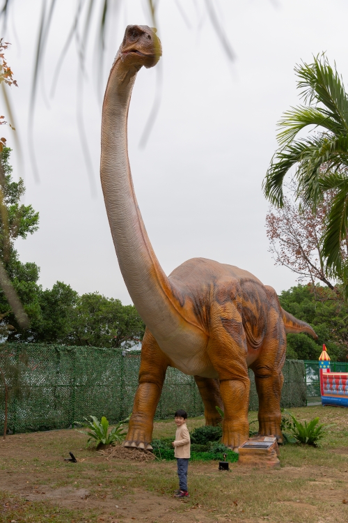 【攻略】台北親子景點。恐龍大復活關渡探險樂園｜占地1500坪、70隻恐龍出沒，逼真到小小孩被嚇到的恐龍展～侏羅紀大巡禮＋互動遊戲全攻略
