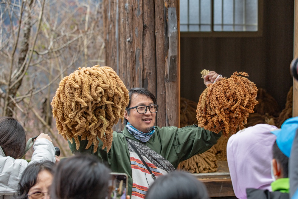 新竹/尖石・司馬庫斯櫻花季｜走進上帝的部落，訂房、車輛通行證怎麼申請？一日遊與二天一夜實際比較
