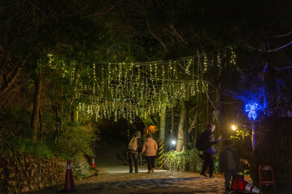 新竹/尖石・司馬庫斯櫻花季｜走進上帝的部落，訂房、車輛通行證怎麼申請？一日遊與二天一夜實際比較