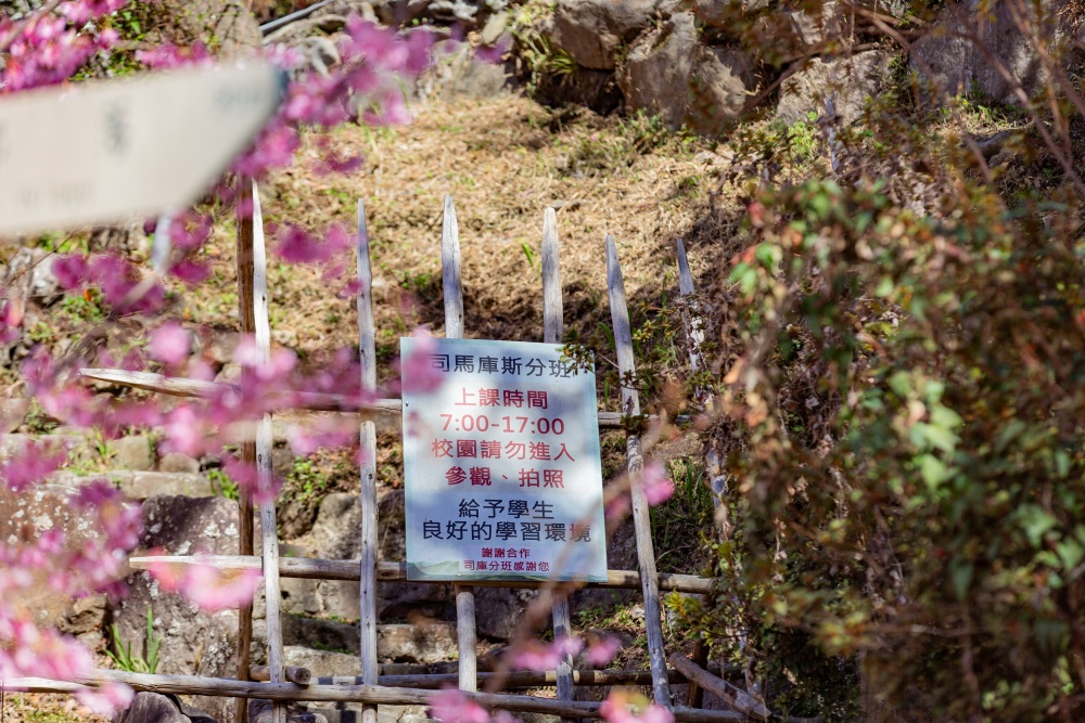 新竹/尖石・司馬庫斯櫻花季｜走進上帝的部落，訂房、車輛通行證怎麼申請？一日遊與二天一夜實際比較