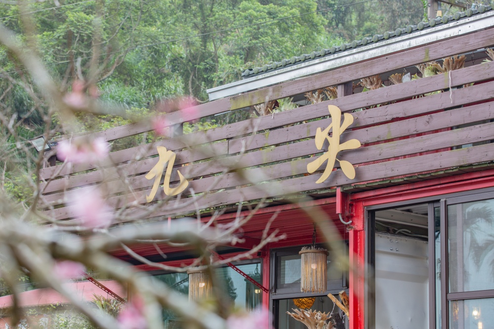 南投/國姓。九份二山「九尖茶廠梅園」｜滿山梅花鋪展、走進冬末春初的白色山景，提供餐點與咖啡小歇