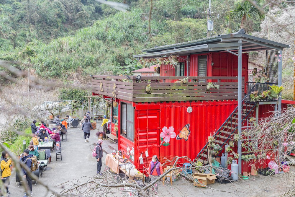 南投/國姓。九份二山「九尖茶廠梅園」｜滿山梅花鋪展、走進冬末春初的白色山景，提供餐點與咖啡小歇