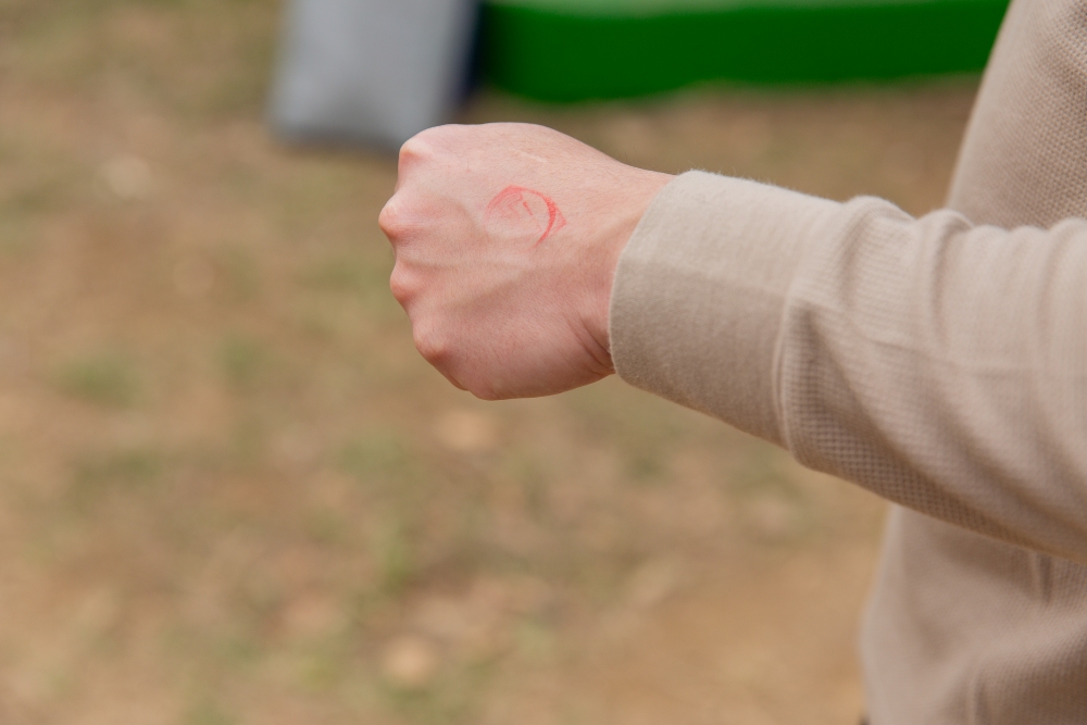 【攻略】台北親子景點。恐龍大復活關渡探險樂園｜占地1500坪、70隻恐龍出沒，逼真到小小孩被嚇到的恐龍展～侏羅紀大巡禮＋互動遊戲全攻略