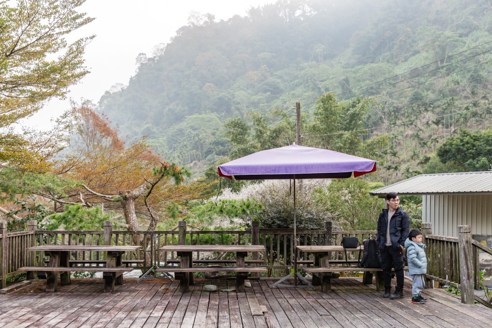 南投/信義・九份二山「七號梅莊」 | 油菜花海 × 梅樹，雙層花海與山路風景，提供自助式熱酸梅汁的山裡人情味