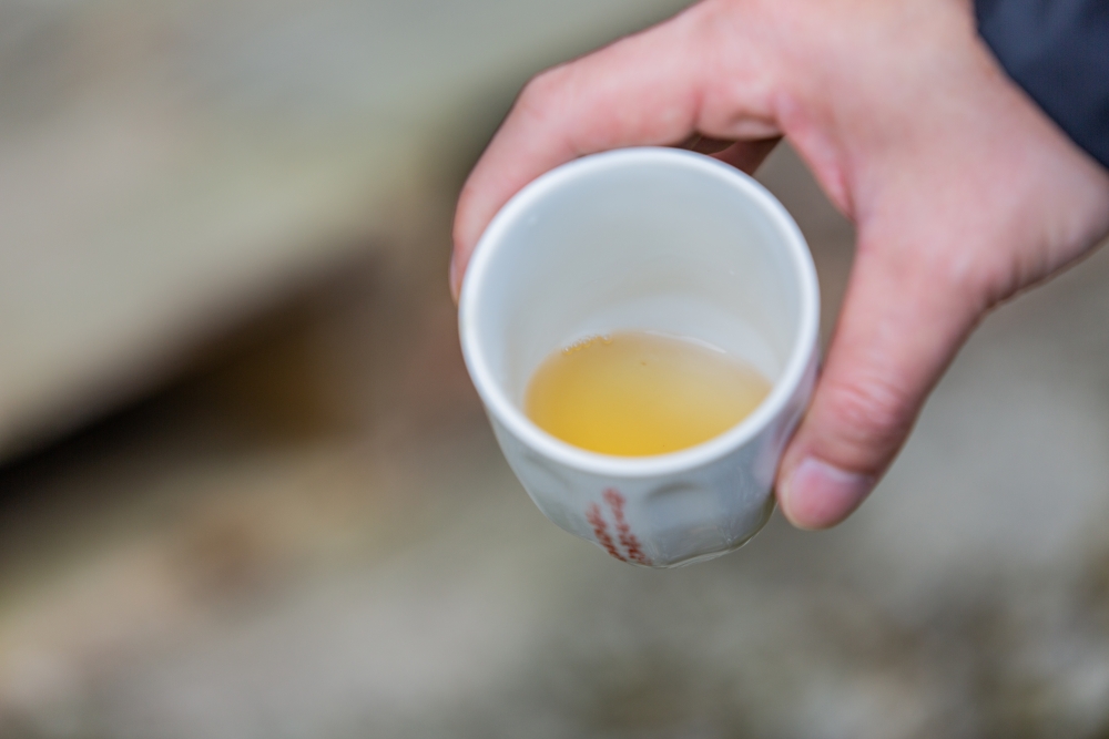 南投/信義・九份二山「七號梅莊」 | 油菜花海 × 梅樹，雙層花海與山路風景，提供自助式熱酸梅汁的山裡人情味