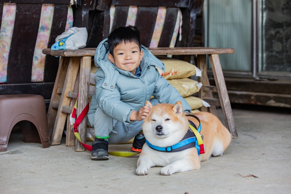 南投/信義・九份二山「七號梅莊」 | 油菜花海 × 梅樹，雙層花海與山路風景，提供自助式熱酸梅汁的山裡人情味