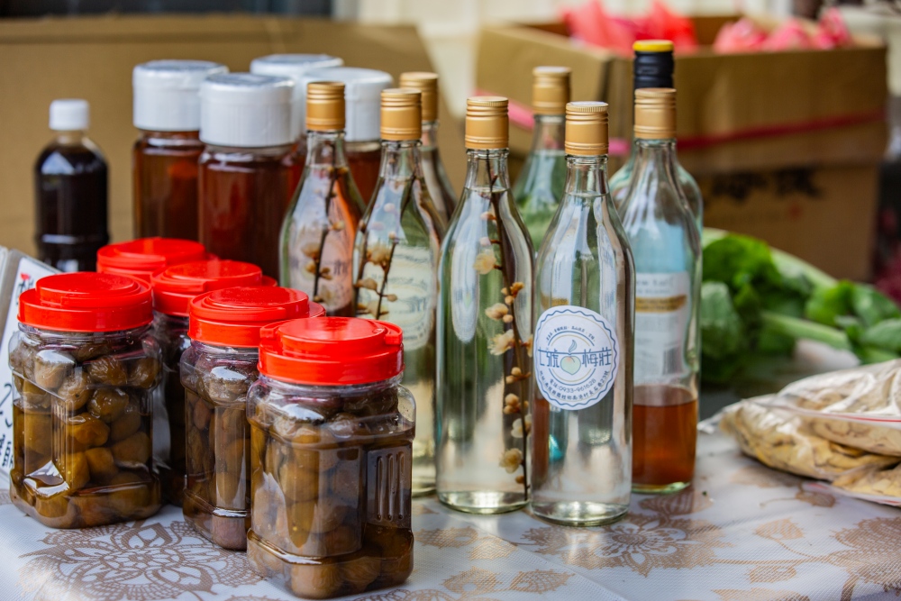 南投/信義・九份二山「七號梅莊」 | 油菜花海 × 梅樹，雙層花海與山路風景，提供自助式熱酸梅汁的山裡人情味