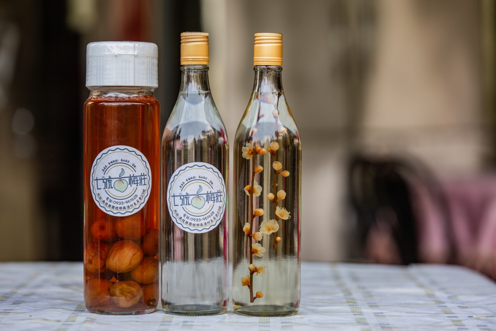 南投/信義・九份二山「七號梅莊」 | 油菜花海 × 梅樹，雙層花海與山路風景，提供自助式熱酸梅汁的山裡人情味