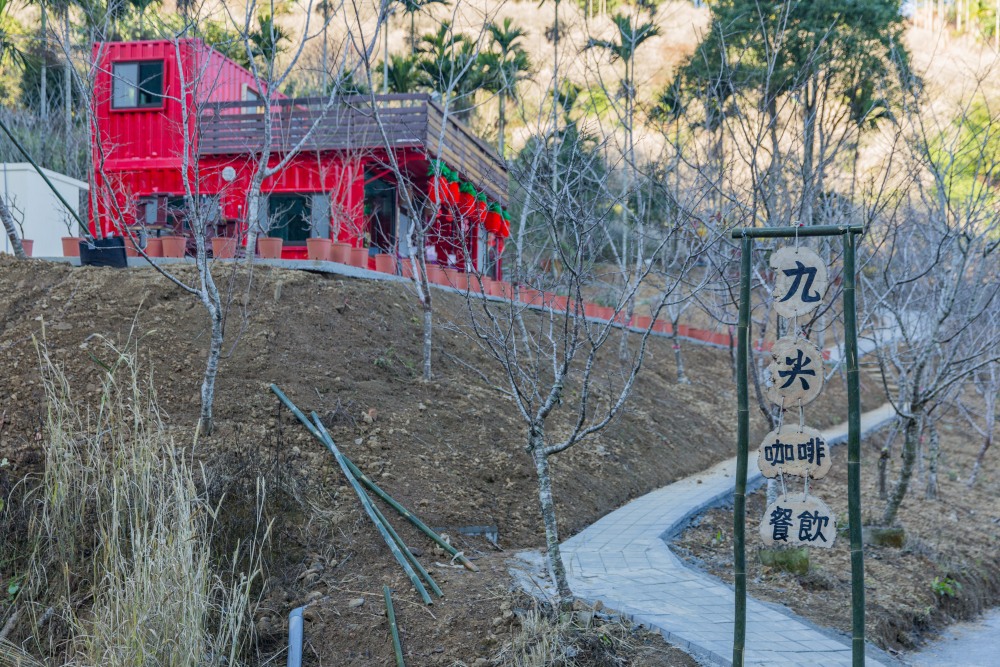 南投/國姓。九份二山「九尖茶廠梅園」｜滿山梅花鋪展、走進冬末春初的白色山景，提供餐點與咖啡小歇