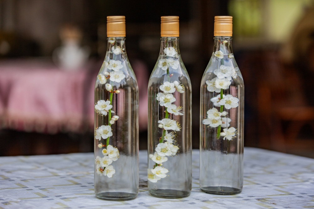 南投/信義・九份二山「七號梅莊」 | 油菜花海 × 梅樹，雙層花海與山路風景，提供自助式熱酸梅汁的山裡人情味