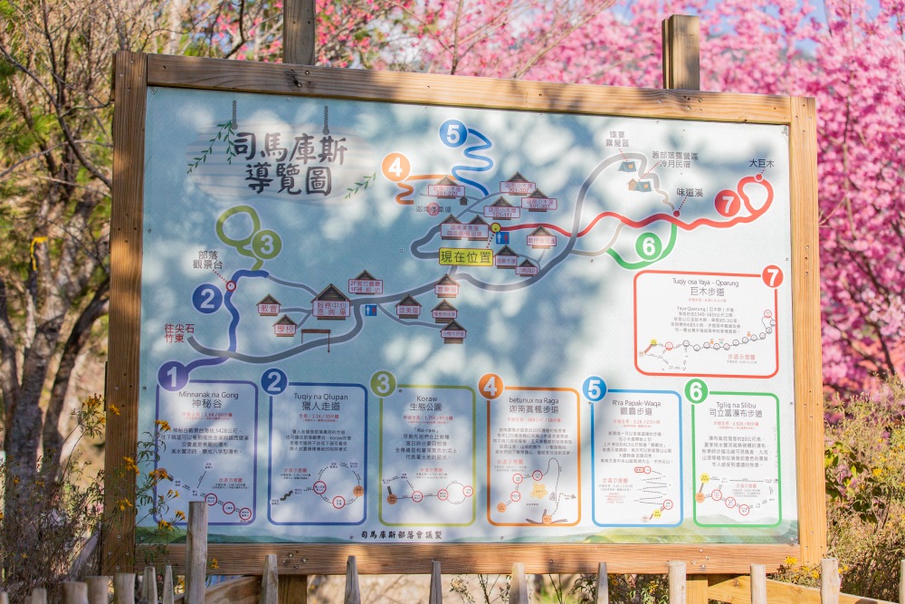 新竹/尖石・司馬庫斯櫻花季｜走進上帝的部落，訂房、車輛通行證怎麼申請？一日遊與二天一夜實際比較