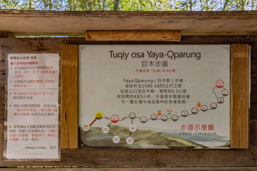 新竹/尖石・司馬庫斯櫻花季｜走進上帝的部落，訂房、車輛通行證怎麼申請？一日遊與二天一夜實際比較