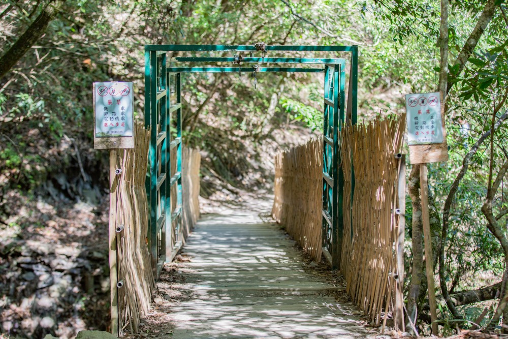 新竹/尖石・司馬庫斯櫻花季｜走進上帝的部落，訂房、車輛通行證怎麼申請？一日遊與二天一夜實際比較