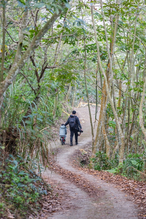 南投/信義・九份二山「七號梅莊」 | 油菜花海 × 梅樹，雙層花海與山路風景，提供自助式熱酸梅汁的山裡人情味
