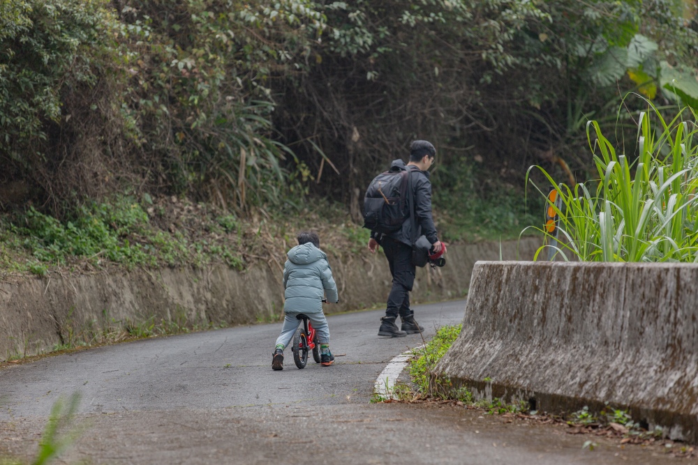 南投/信義・九份二山「七號梅莊」 | 油菜花海 × 梅樹，雙層花海與山路風景，提供自助式熱酸梅汁的山裡人情味