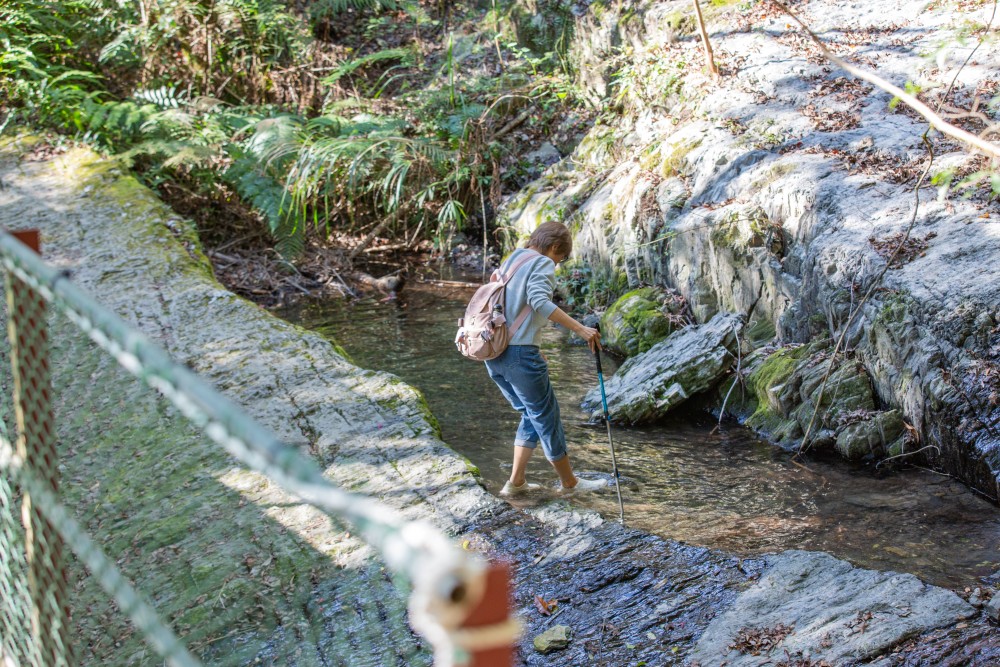 新竹/尖石・司馬庫斯櫻花季｜走進上帝的部落，訂房、車輛通行證怎麼申請？一日遊與二天一夜實際比較