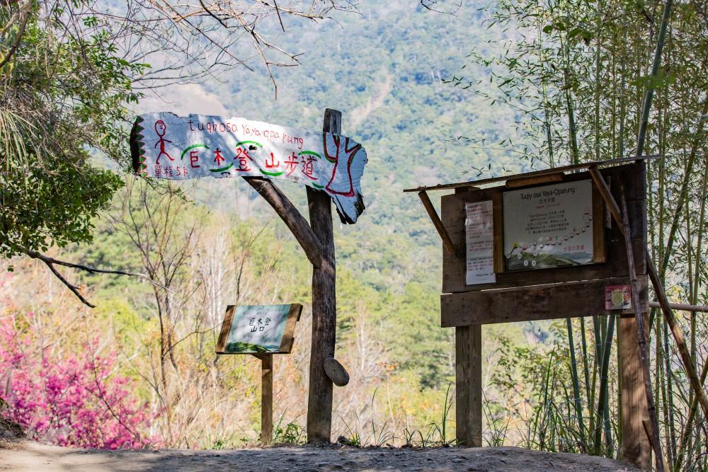 新竹/尖石・司馬庫斯櫻花季｜走進上帝的部落，訂房、車輛通行證怎麼申請？一日遊與二天一夜實際比較