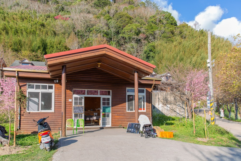 新竹/尖石・司馬庫斯櫻花季｜走進上帝的部落，訂房、車輛通行證怎麼申請？一日遊與二天一夜實際比較