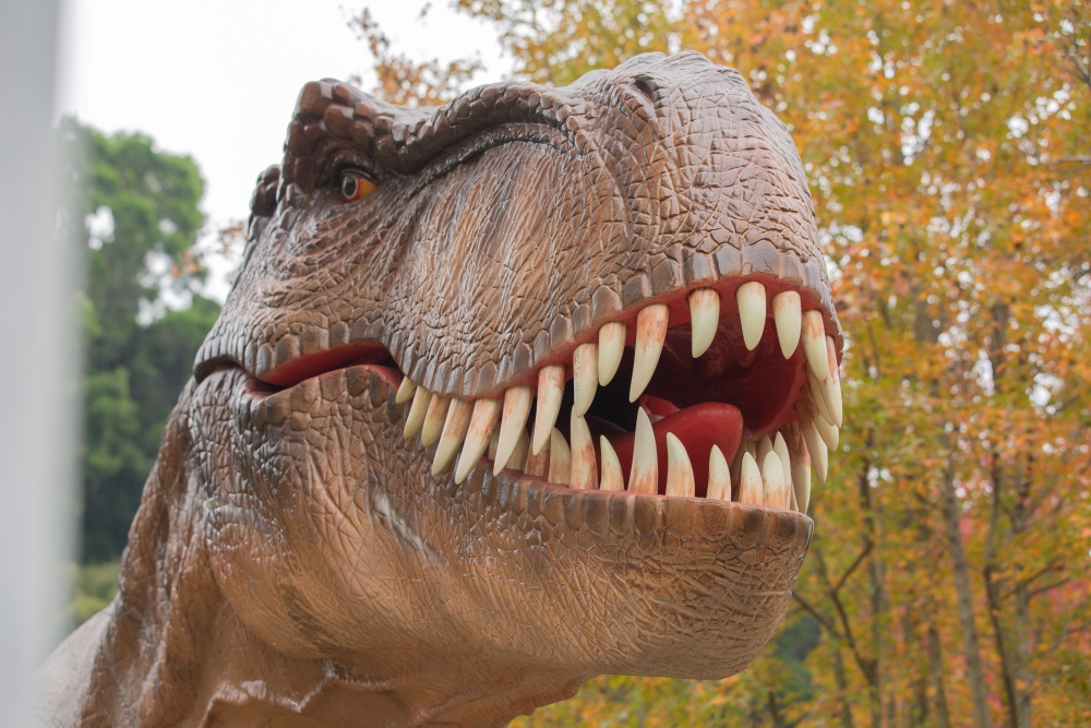 【攻略】台北親子景點。恐龍大復活關渡探險樂園｜占地1500坪、70隻恐龍出沒，逼真到小小孩被嚇到的恐龍展～侏羅紀大巡禮＋互動遊戲全攻略