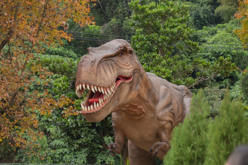 【攻略】台北親子景點。恐龍大復活關渡探險樂園｜占地1500坪、70隻恐龍出沒，逼真到小小孩被嚇到的恐龍展～侏羅紀大巡禮＋互動遊戲全攻略
