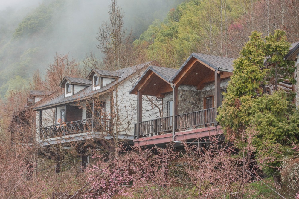 新竹/尖石・司馬庫斯櫻花季｜走進上帝的部落，訂房、車輛通行證怎麼申請？一日遊與二天一夜實際比較