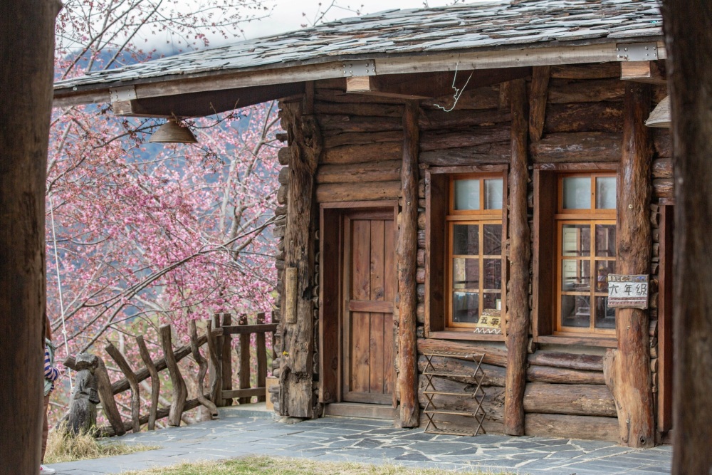 新竹/尖石・司馬庫斯櫻花季｜走進上帝的部落，訂房、車輛通行證怎麼申請？一日遊與二天一夜實際比較