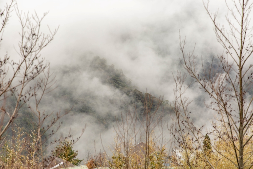新竹/尖石・司馬庫斯櫻花季｜走進上帝的部落，訂房、車輛通行證怎麼申請？一日遊與二天一夜實際比較