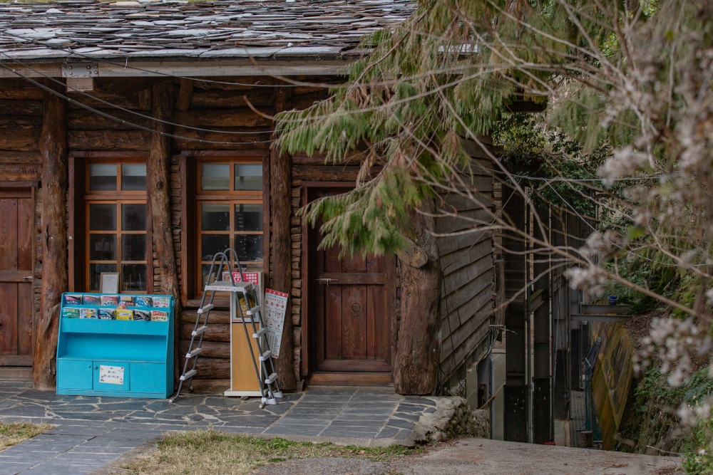 新竹/尖石・司馬庫斯櫻花季｜走進上帝的部落，訂房、車輛通行證怎麼申請？一日遊與二天一夜實際比較
