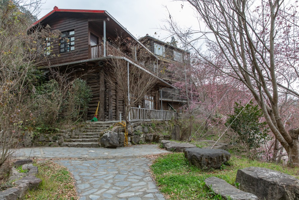 新竹/尖石・司馬庫斯櫻花季｜走進上帝的部落，訂房、車輛通行證怎麼申請？一日遊與二天一夜實際比較