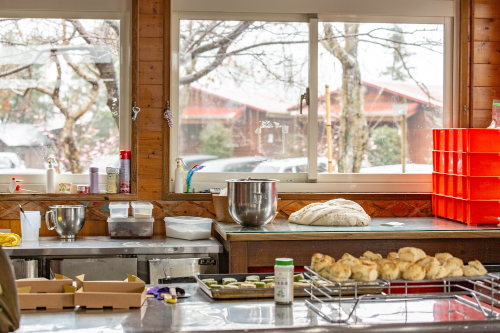 新竹/尖石・司馬庫斯櫻花季｜走進上帝的部落，訂房、車輛通行證怎麼申請？一日遊與二天一夜實際比較