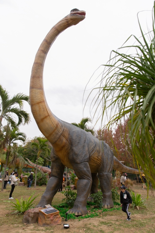 【攻略】台北親子景點。恐龍大復活關渡探險樂園｜占地1500坪、70隻恐龍出沒，逼真到小小孩被嚇到的恐龍展～侏羅紀大巡禮＋互動遊戲全攻略