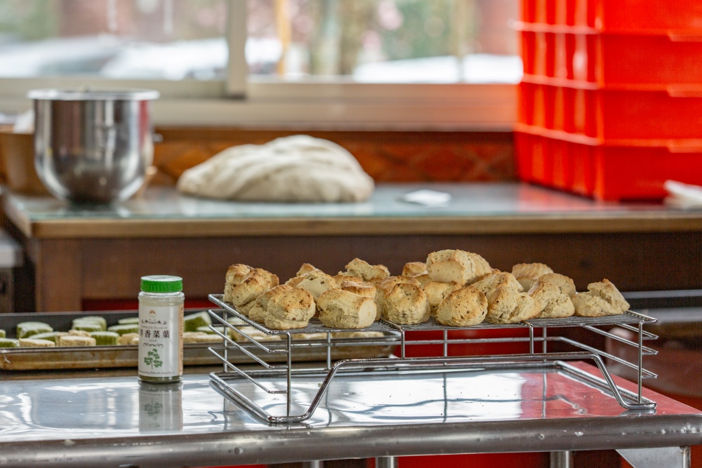 新竹/尖石・司馬庫斯櫻花季｜走進上帝的部落，訂房、車輛通行證怎麼申請？一日遊與二天一夜實際比較