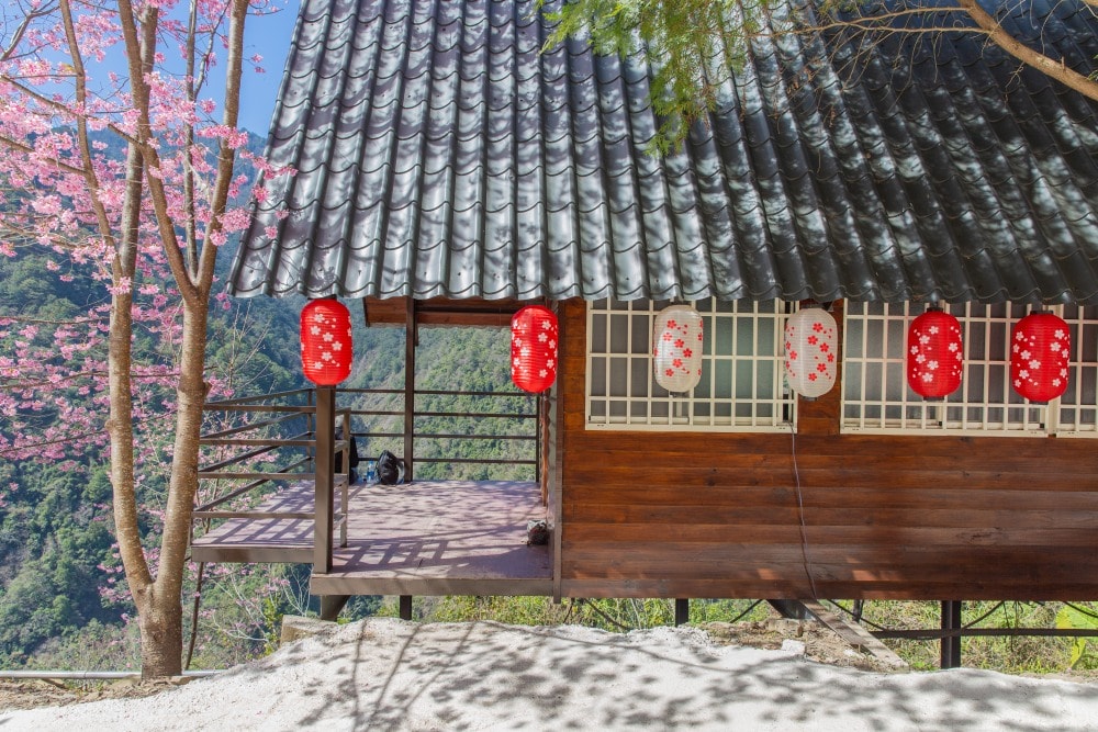 新竹/尖石.養老部落「霞喀羅櫻花谷」 | 走進園主10年心血灌溉的粉紅山谷、滿山坡爆滿花海與絕美觀景平台 - 第13張圖 新竹/尖石.養老部落「霞喀羅櫻花谷」 | 走進園主10年心血灌溉的粉紅山谷、滿山坡爆滿花海與絕美觀景平台