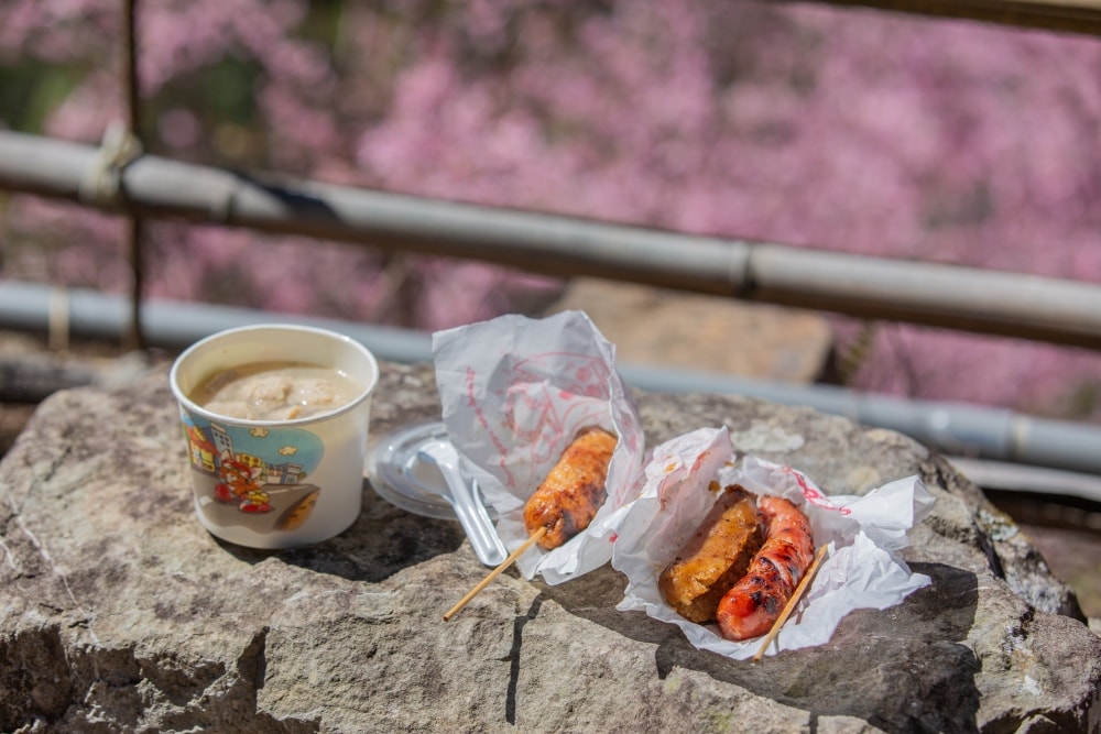 新竹/尖石.養老部落「霞喀羅櫻花谷」 | 走進園主10年心血灌溉的粉紅山谷、滿山坡爆滿花海與絕美觀景平台 - 第26張圖 新竹/尖石.養老部落「霞喀羅櫻花谷」 | 走進園主10年心血灌溉的粉紅山谷、滿山坡爆滿花海與絕美觀景平台