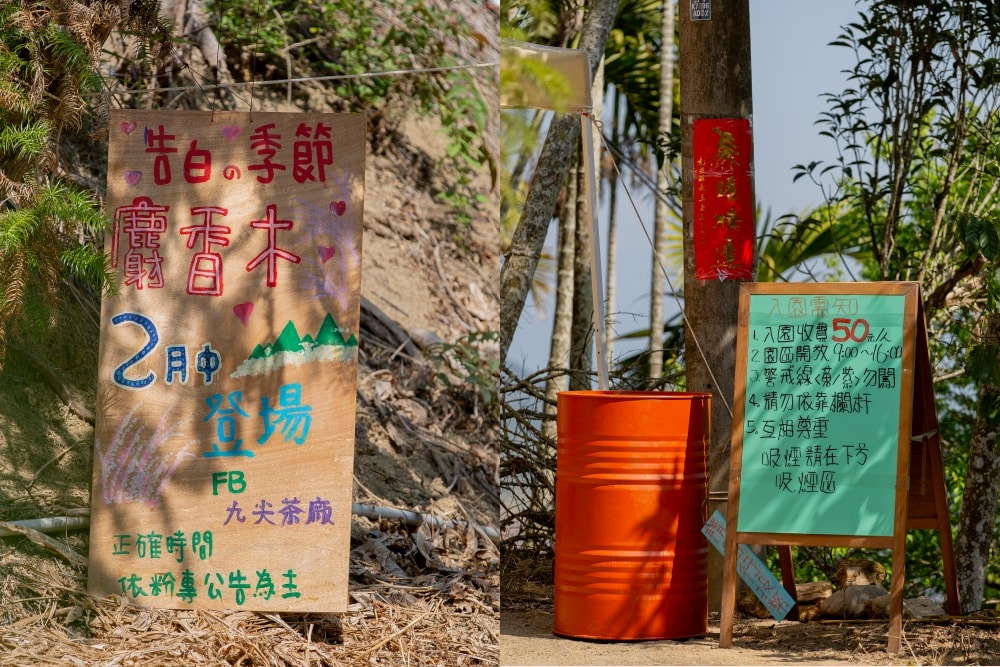 南投/國姓。九份二山「九尖茶廠」麝香木|首度開放!漫步蜿蜒步道,沉浸浪漫粉紫山丘與自帶夢幻霧感花海 - 第9張圖 南投/國姓。九份二山「九尖茶廠」麝香木|首度開放!漫步蜿蜒步道,沉浸浪漫粉紫山丘與自帶夢幻霧感花海