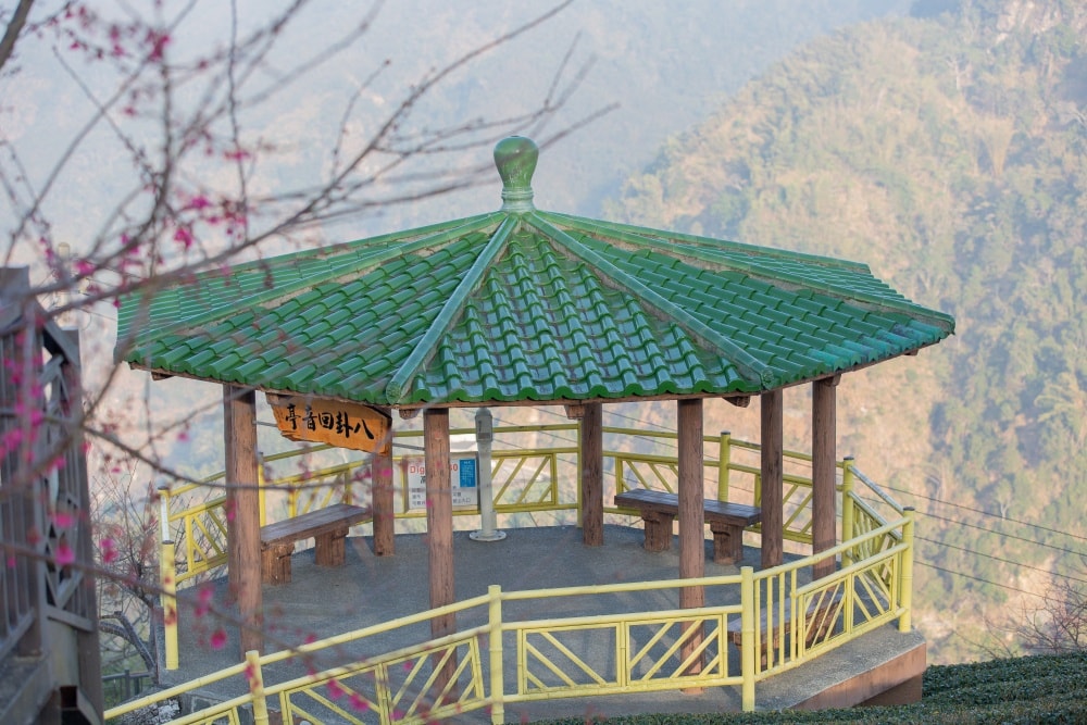 南投/竹山.大鞍「軟鞍八卦茶園」 | 春日限定~櫻花巨龍現身!海拔1,300公尺紅枝垂櫻與昭和櫻接力綻放,花期長的絕美茶山 - 第19張圖 南投/竹山.大鞍「軟鞍八卦茶園」 | 春日限定~櫻花巨龍現身!海拔1,300公尺紅枝垂櫻與昭和櫻接力綻放,花期長的絕美茶山