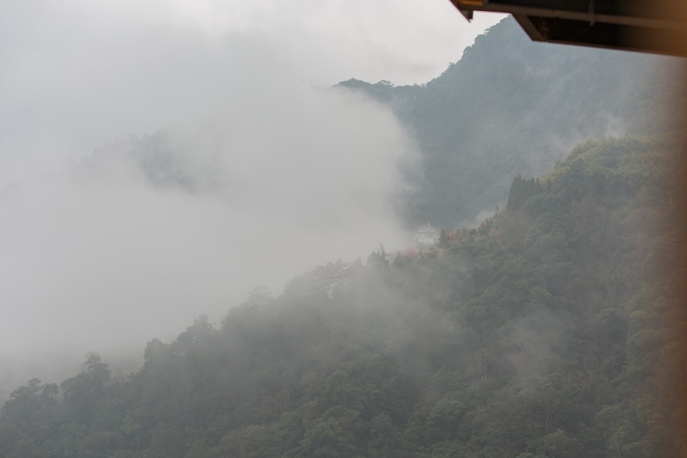 新竹/尖石．新光部落「山野青隆的家」 | 高山質感民宿、享用巴燕家有機火鍋、被山嵐與雲海包圍、可遠眺司馬庫斯