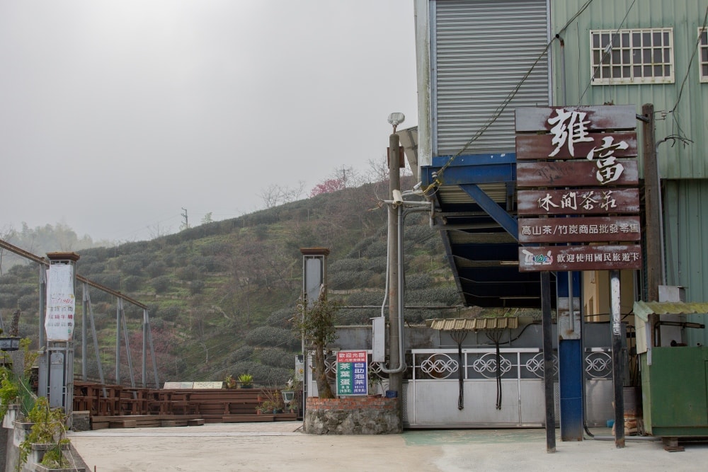 南投/竹山.大鞍「軟鞍八卦茶園」 | 春日限定~櫻花巨龍現身!海拔1,300公尺紅枝垂櫻與昭和櫻接力綻放,花期長的絕美茶山 - 第7張圖 南投/竹山.大鞍「軟鞍八卦茶園」 | 春日限定~櫻花巨龍現身!海拔1,300公尺紅枝垂櫻與昭和櫻接力綻放,花期長的絕美茶山