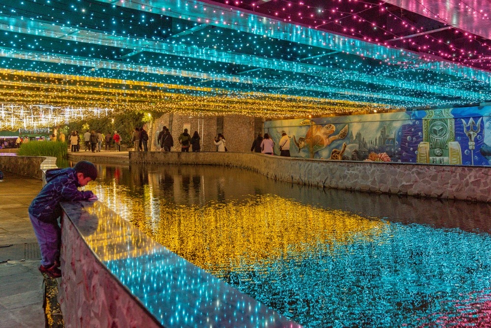新北/新莊.2026中港大排光雕展「星耀中港 夢幻星河」 | 漫步台版清溪川!7米高星耀之樹閃耀新莊夜空、3米高雪白北極熊現身夢幻星河,收藏全台最浪漫的城市光廊 - 第43張圖 新北/新莊.2026中港大排光雕展「星耀中港 夢幻星河」 | 漫步台版清溪川!7米高星耀之樹閃耀新莊夜空、3米高雪白北極熊現身夢幻星河,收藏全台最浪漫的城市光廊