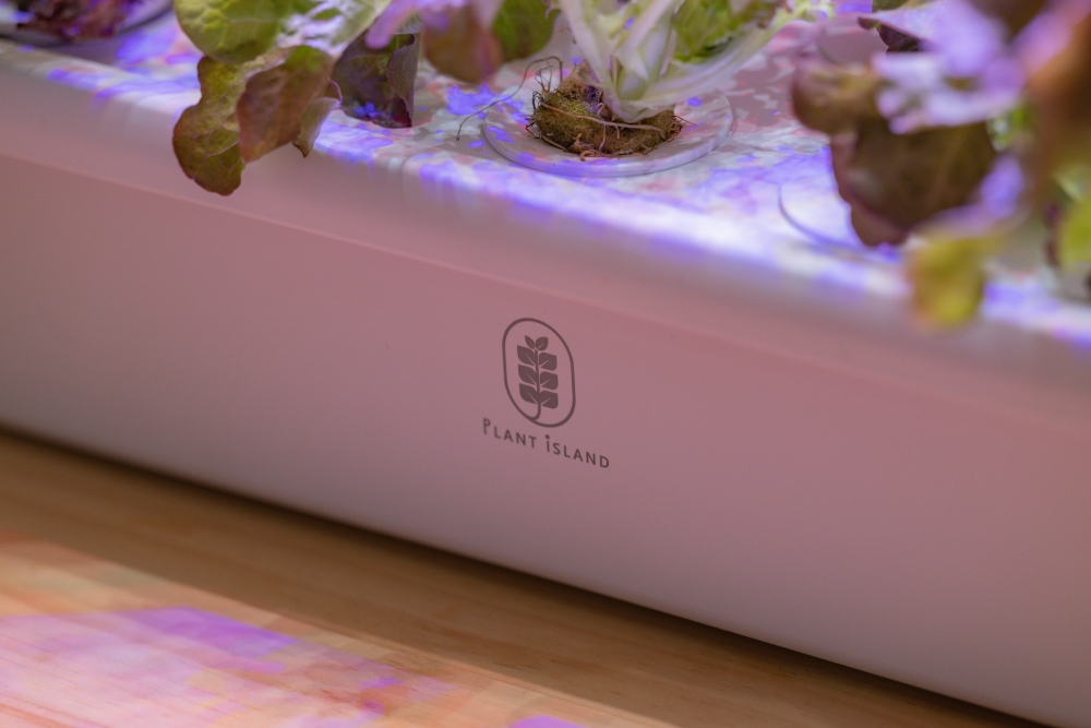 好物推薦。植樂島Plant Island智慧家用型植物箱|免土也能在家種菜,智慧光照、自動循環水耕系統,親子一起從育苗到採收 - 第5張圖 好物推薦。植樂島Plant Island智慧家用型植物箱|免土也能在家種菜,智慧光照、自動循環水耕系統,親子一起從育苗到採收