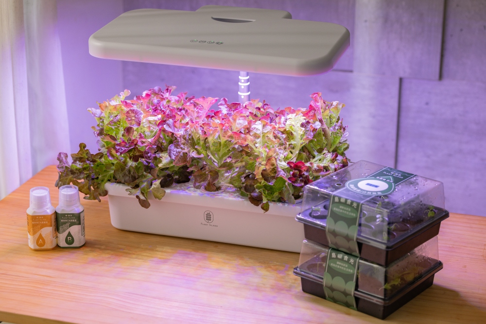 好物推薦。植樂島Plant Island智慧家用型植物箱|免土也能在家種菜,智慧光照、自動循環水耕系統,親子一起從育苗到採收 - 第73張圖 好物推薦。植樂島Plant Island智慧家用型植物箱|免土也能在家種菜,智慧光照、自動循環水耕系統,親子一起從育苗到採收