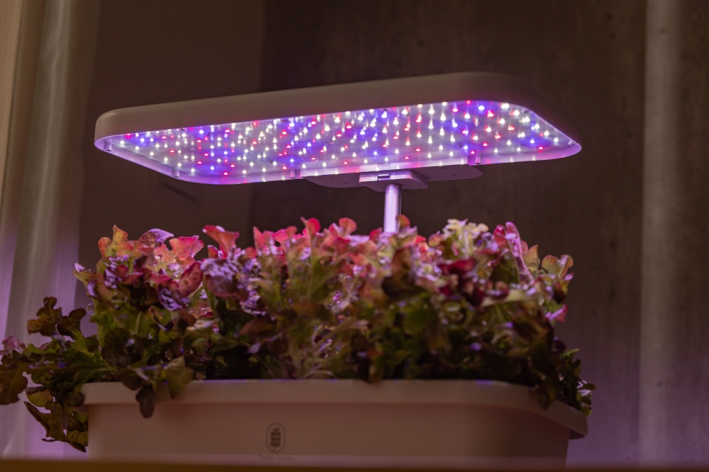 好物推薦。植樂島Plant Island智慧家用型植物箱|免土也能在家種菜,智慧光照、自動循環水耕系統,親子一起從育苗到採收 - 第11張圖 好物推薦。植樂島Plant Island智慧家用型植物箱|免土也能在家種菜,智慧光照、自動循環水耕系統,親子一起從育苗到採收