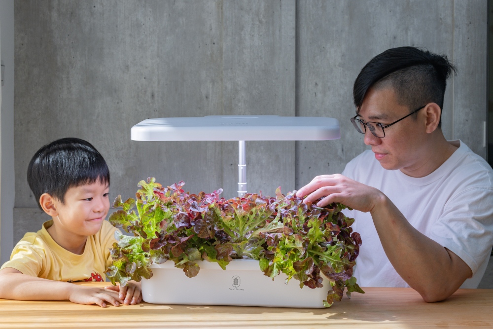 好物推薦。植樂島Plant Island智慧家用型植物箱|免土也能在家種菜,智慧光照、自動循環水耕系統,親子一起從育苗到採收 - 第2張圖 好物推薦。植樂島Plant Island智慧家用型植物箱|免土也能在家種菜,智慧光照、自動循環水耕系統,親子一起從育苗到採收