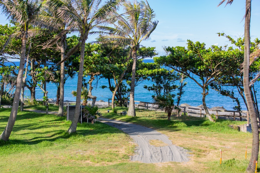 台東/長濱。巴歌浪船屋藝術園區 | 午後海風、漂流木藝術與山海料理的放鬆時光 - 第55張圖 台東/長濱。巴歌浪船屋藝術園區 | 午後海風、漂流木藝術與山海料理的放鬆時光